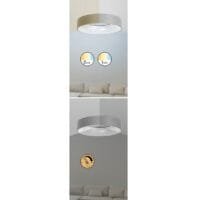 Lustră led cu telecomandă Rabalux Adeline 24W