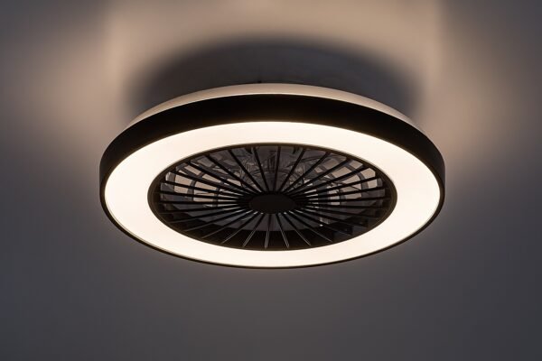 Plafonieră LED cu ventilator WIFI și telecomandă Rabalux Dalfon2 40W 3000K-4000K-6000K 2200Lm 3 Plafonieră LED cu ventilator WIFI și telecomandă Rabalux Dalfon2 40W 3000K-4000K-6000K 2200Lm