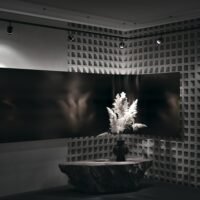 Spot LED pentru șină Maytoni Unity Orlo 4000k 5W 120° Negru 4 Spot LED pentru șină Maytoni Unity Orlo 4000k 5W 120° Negru