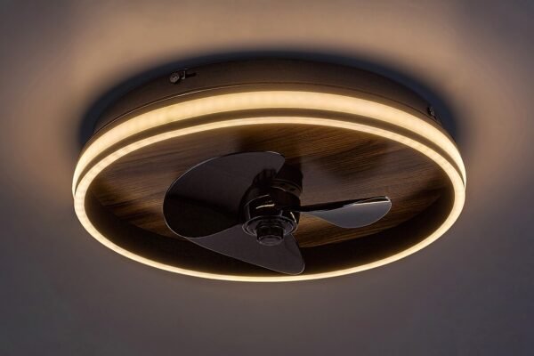 Plafonieră LED cu ventilator elegantă, cu telecomandă Rabalux Faustine 30W 3000K-6500K 1000Lm dimabilă 4 Plafonieră LED cu ventilator elegantă, cu telecomandă Rabalux Faustine 30W 3000K-6500K 1000Lm dimabilă