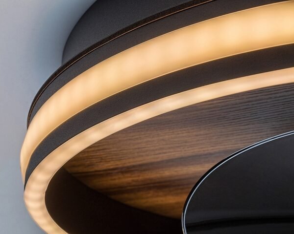 Plafonieră LED cu ventilator elegantă, cu telecomandă Rabalux Faustine 30W 3000K-6500K 1000Lm dimabilă 6 Plafonieră LED cu ventilator elegantă, cu telecomandă Rabalux Faustine 30W 3000K-6500K 1000Lm dimabilă