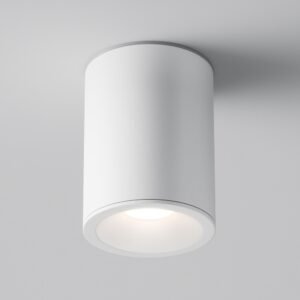 Spot aplicat ideal pentru baie Maytoni Zoom GU10 1x10W IP65 alb D8.5