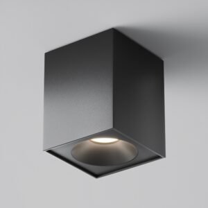 Spot cu design prismatic aplicat rezistent la umezeală și praf Maytoni Zoom GU10 1x10W IP65 negru