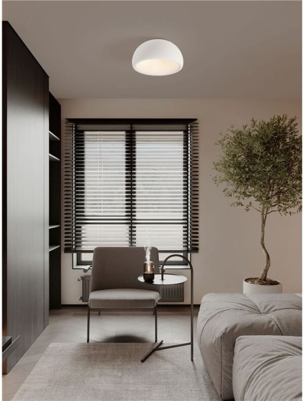 Plafonieră Davo Nova Luce albă E27 12W D50